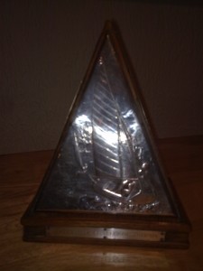 BMBA Somerville Trophy